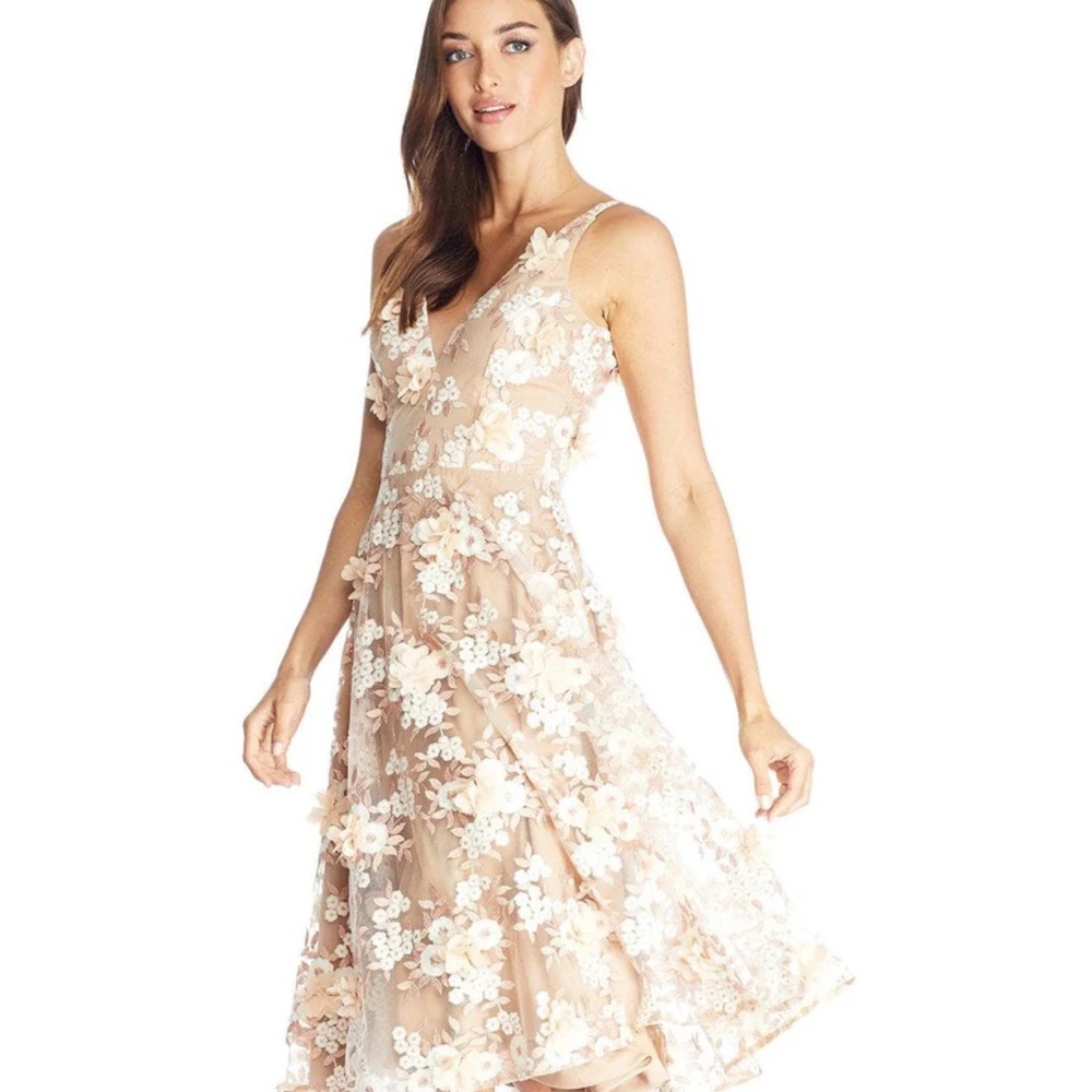 Dress The Population Elisa Daisy 3D Embroidery Dress - Medium